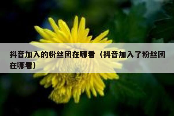 抖音加入的粉丝团在哪看（抖音加入了粉丝团在哪看） 第1张