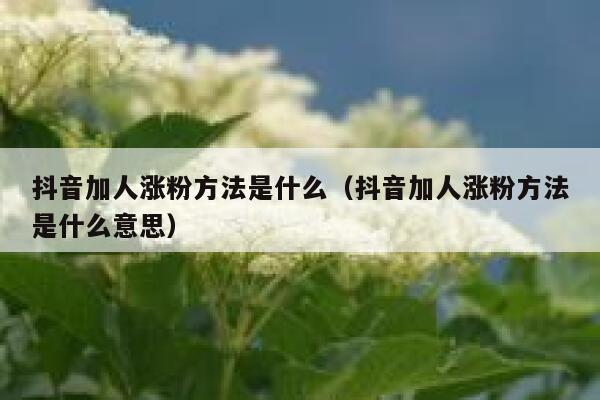抖音加人涨粉方法是什么（抖音加人涨粉方法是什么意思） 第1张