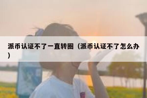 派币认证不了一直转圈（派币认证不了怎么办） 第1张