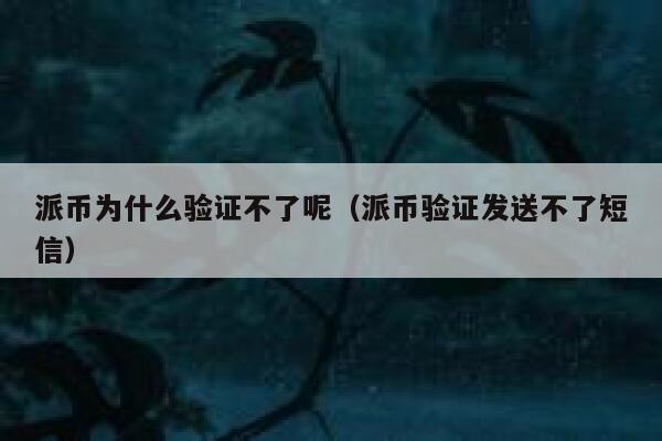 派币为什么验证不了呢（派币验证发送不了短信） 第1张