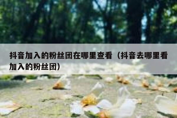 抖音加入的粉丝团在哪里查看（抖音去哪里看加入的粉丝团） 第1张