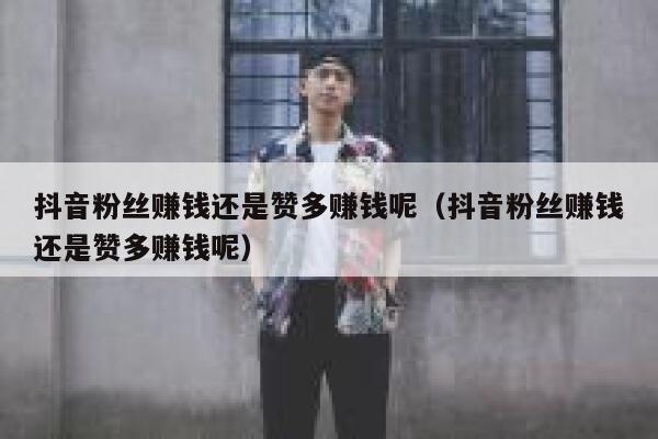 抖音粉丝赚钱还是赞多赚钱呢（抖音粉丝赚钱还是赞多赚钱呢） 第1张