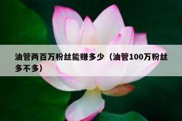 油管两百万粉丝能赚多少（油管100万粉丝多不多） 第1张