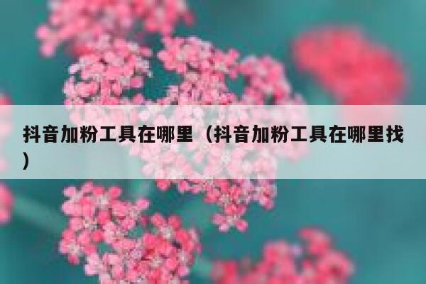 抖音加粉工具在哪里（抖音加粉工具在哪里找） 第1张