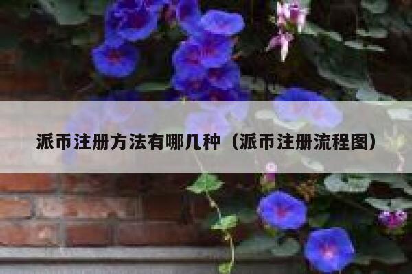 派币注册方法有哪几种（派币注册流程图） 第1张