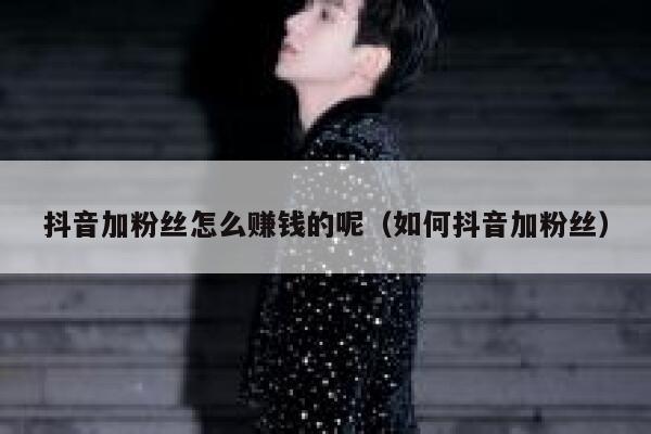 抖音加粉丝怎么赚钱的呢（如何抖音加粉丝） 第1张
