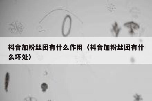 抖音加粉丝团有什么作用（抖音加粉丝团有什么坏处） 第1张