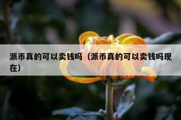 派币真的可以卖钱吗（派币真的可以卖钱吗现在） 第1张