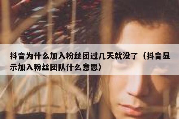 抖音为什么加入粉丝团过几天就没了（抖音显示加入粉丝团队什么意思） 第1张