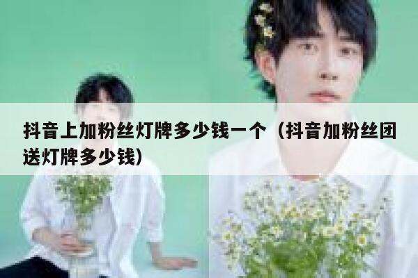 抖音上加粉丝灯牌多少钱一个（抖音加粉丝团送灯牌多少钱） 第1张