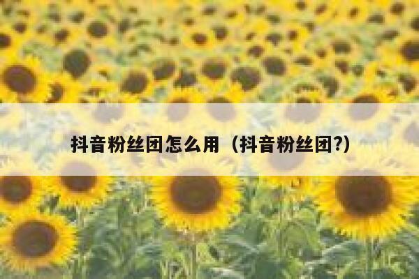 抖音粉丝团怎么用（抖音粉丝团?） 第1张