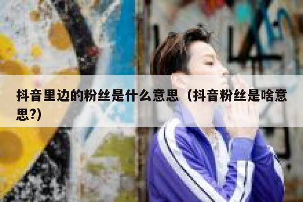 抖音里边的粉丝是什么意思（抖音粉丝是啥意思?） 第1张
