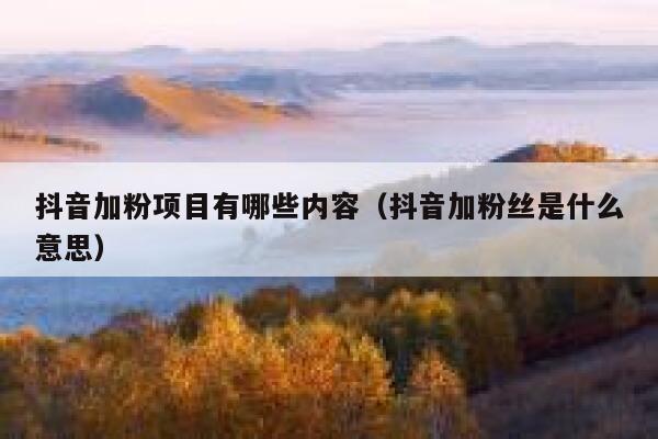 抖音加粉项目有哪些内容（抖音加粉丝是什么意思） 第1张