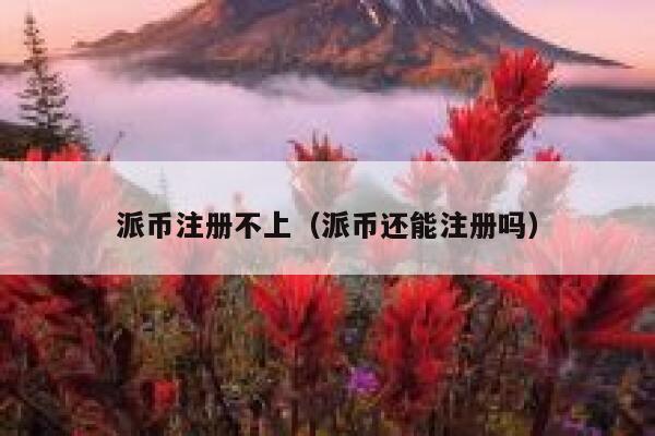 派币注册不上（派币还能注册吗） 第1张