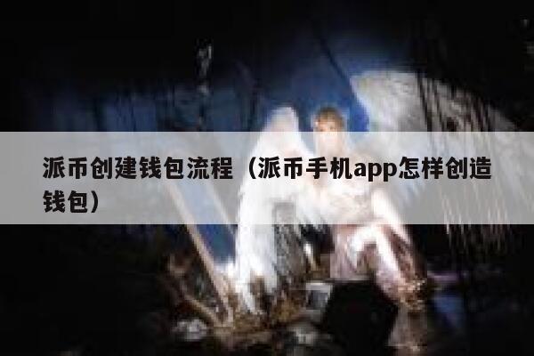 派币创建钱包流程（派币手机app怎样创造钱包） 第1张