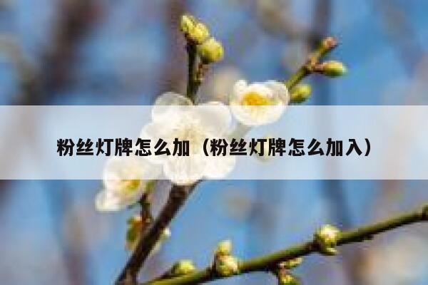 粉丝灯牌怎么加（粉丝灯牌怎么加入） 第1张