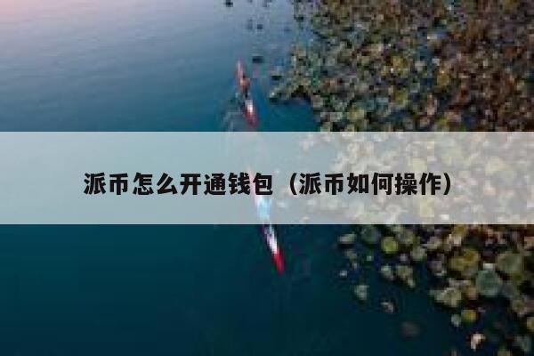 派币怎么开通钱包（派币如何操作） 第1张