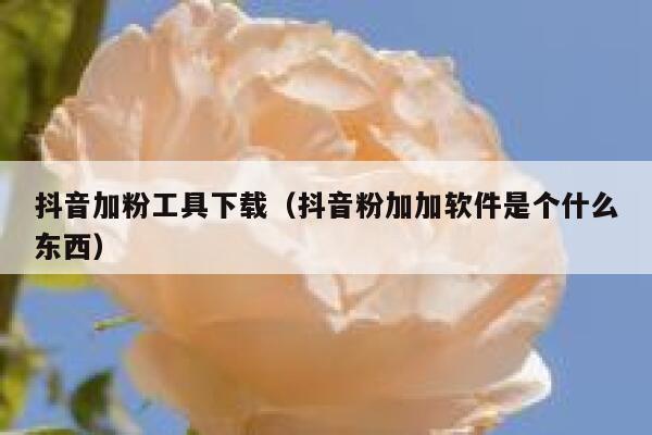 抖音加粉工具下载（抖音粉加加软件是个什么东西） 第1张