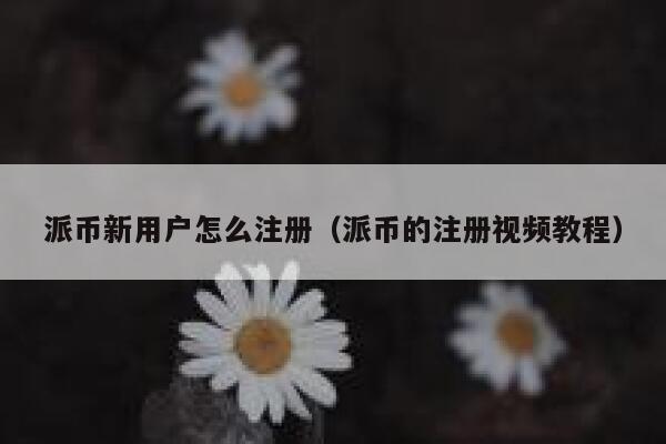 派币新用户怎么注册（派币的注册视频教程） 第1张