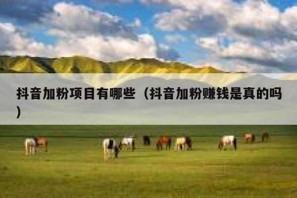 抖音加粉项目有哪些（抖音加粉赚钱是真的吗） 第1张