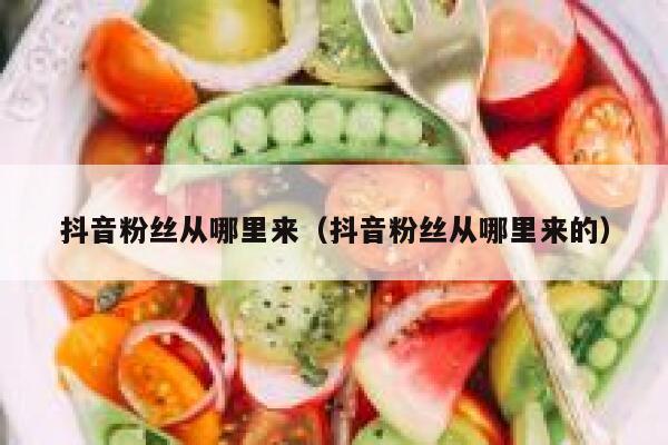 抖音粉丝从哪里来（抖音粉丝从哪里来的） 第1张
