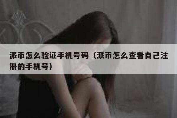派币怎么验证手机号码（派币怎么查看自己注册的手机号） 第1张