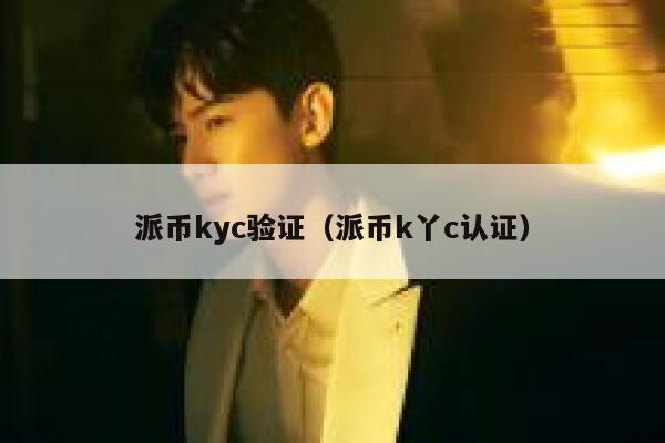 派币kyc验证（派币k丫c认证） 第1张