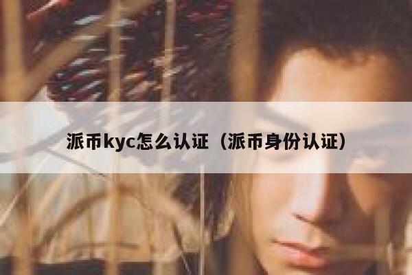 派币kyc怎么认证（派币身份认证） 第1张