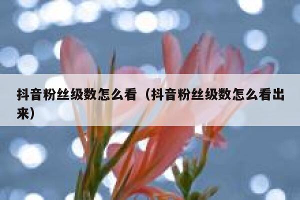 抖音粉丝级数怎么看（抖音粉丝级数怎么看出来） 第1张