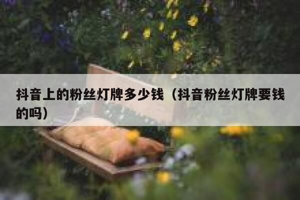 抖音上的粉丝灯牌多少钱（抖音粉丝灯牌要钱的吗） 第1张