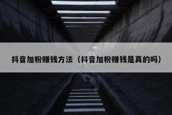 抖音加粉赚钱方法（抖音加粉赚钱是真的吗） 第1张