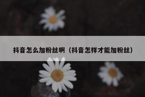 抖音怎么加粉丝啊（抖音怎样才能加粉丝） 第1张