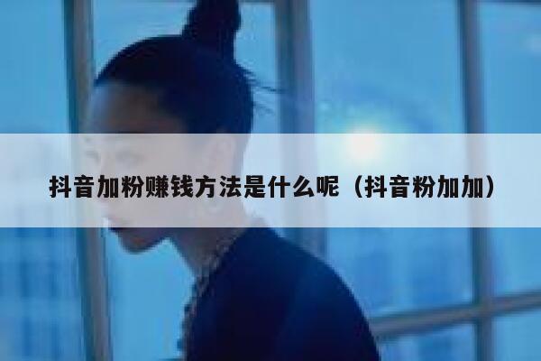 抖音加粉赚钱方法是什么呢（抖音粉加加） 第1张