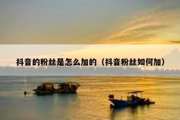 抖音的粉丝是怎么加的(抖音粉丝如何加) 第1张 抖音的粉丝是怎么加的(抖音粉丝如何加) 第1张