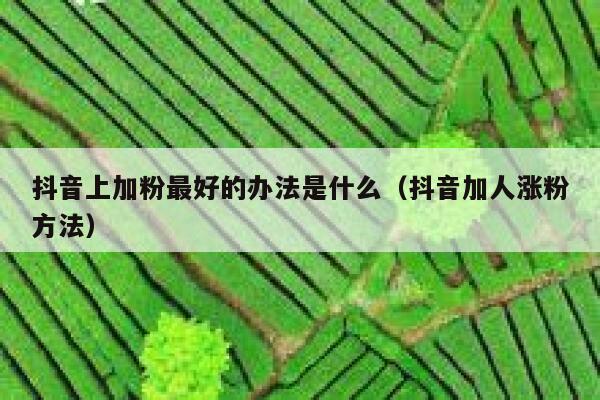 抖音上加粉最好的办法是什么（抖音加人涨粉方法） 第1张
