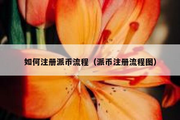 如何注册派币流程（派币注册流程图） 第1张