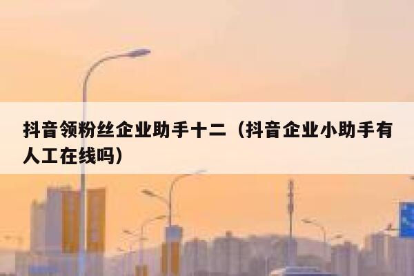 抖音领粉丝企业助手十二（抖音企业小助手有人工在线吗） 第1张