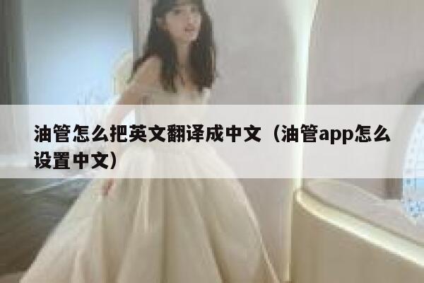 油管怎么把英文翻译成中文（油管app怎么设置中文） 第1张