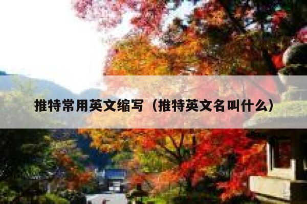 推特常用英文缩写（推特英文名叫什么） 第1张