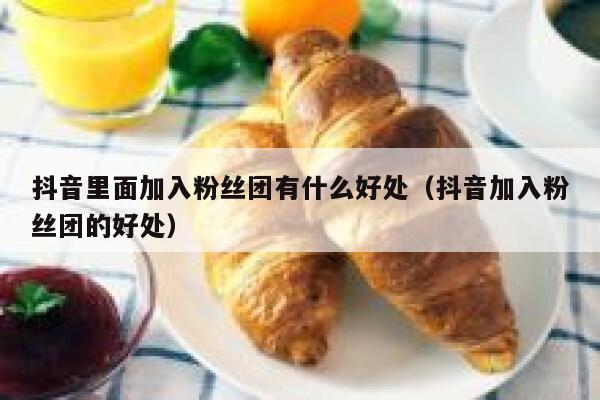 抖音里面加入粉丝团有什么好处（抖音加入粉丝团的好处） 第1张