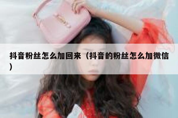 抖音粉丝怎么加回来(抖音的粉丝怎么加微信) 第1张 抖音粉丝怎么加回来(抖音的粉丝怎么加微信) 第1张