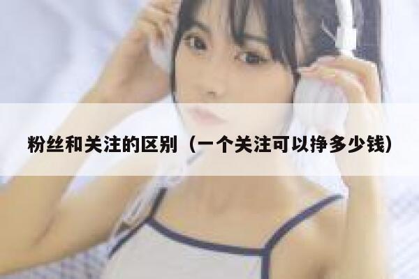 粉丝和关注的区别(一个关注可以挣多少钱) 第1张 粉丝和关注的区别(一个关注可以挣多少钱) 第1张