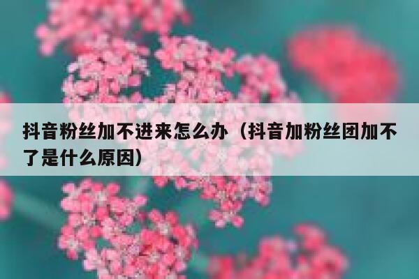 抖音粉丝加不进来怎么办(抖音加粉丝团加不了是什么原因) 第1张 抖音粉丝加不进来怎么办(抖音加粉丝团加不了是什么原因) 第1张