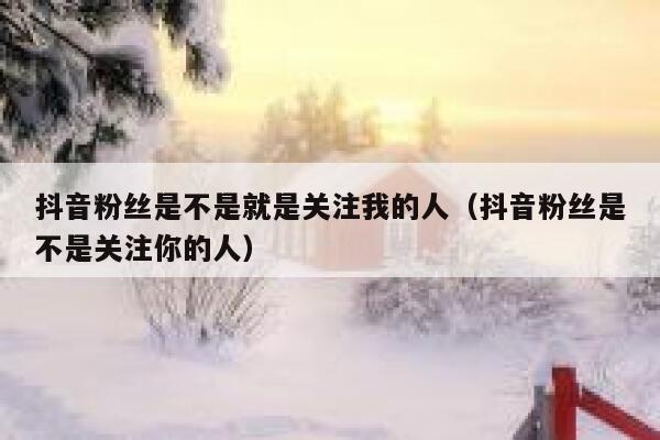 抖音粉丝是不是就是关注我的人（抖音粉丝是不是关注你的人） 第1张