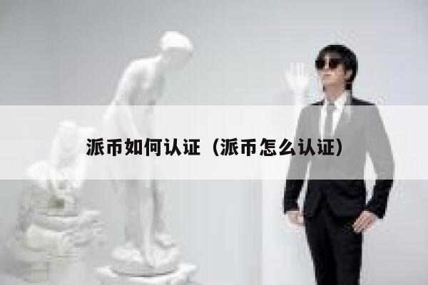 派币如何认证（派币怎么认证） 第1张
