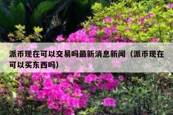 派币现在可以交易吗最新消息新闻（派币现在可以买东西吗） 第1张