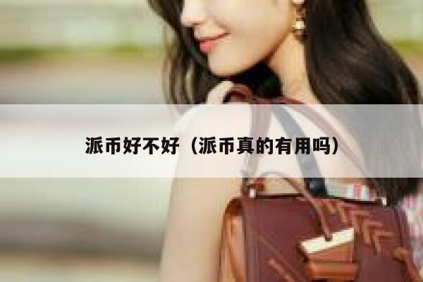 派币好不好（派币真的有用吗） 第1张