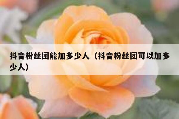 抖音粉丝团能加多少人（抖音粉丝团可以加多少人） 第1张