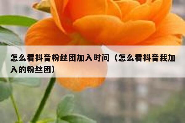 怎么看抖音粉丝团加入时间(怎么看抖音我加入的粉丝团) 第1张 怎么看抖音粉丝团加入时间(怎么看抖音我加入的粉丝团) 第1张
