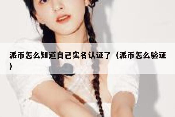 派币怎么知道自己实名认证了（派币怎么验证） 第1张